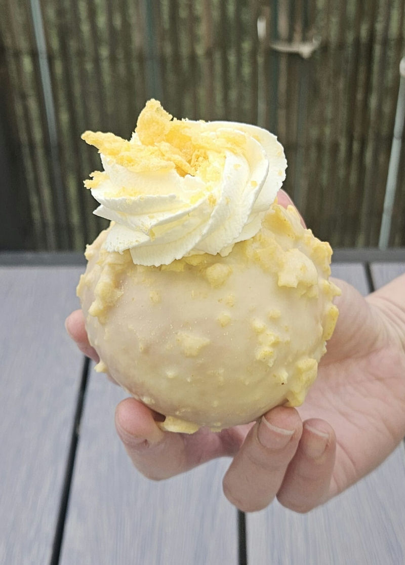 סופגניית פסיסייר וניל