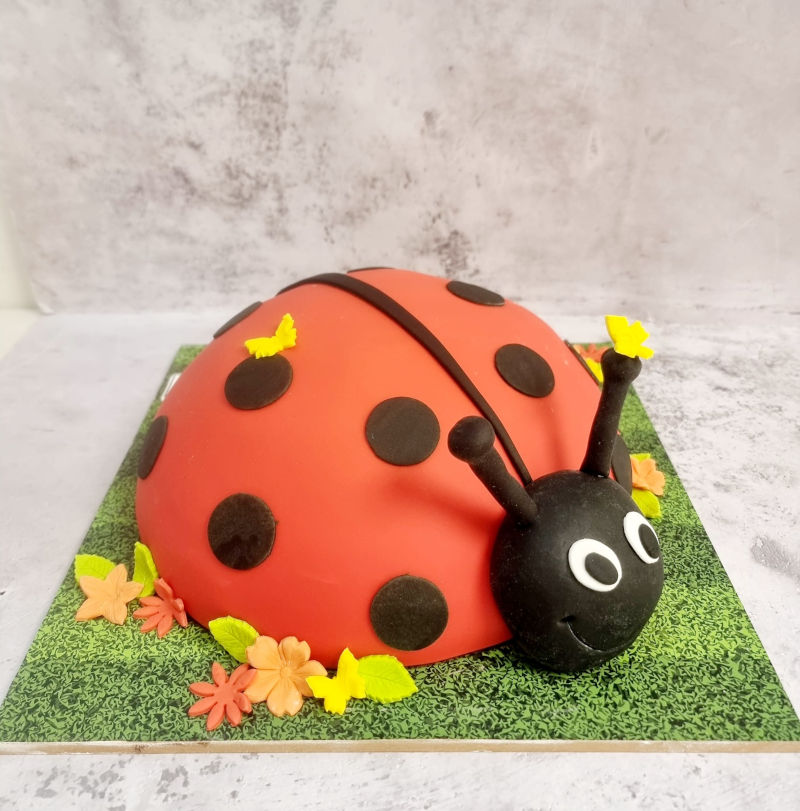 עוגה מיוחדת חיות בעיצוב חיפושית ענקית מבצק סוכר