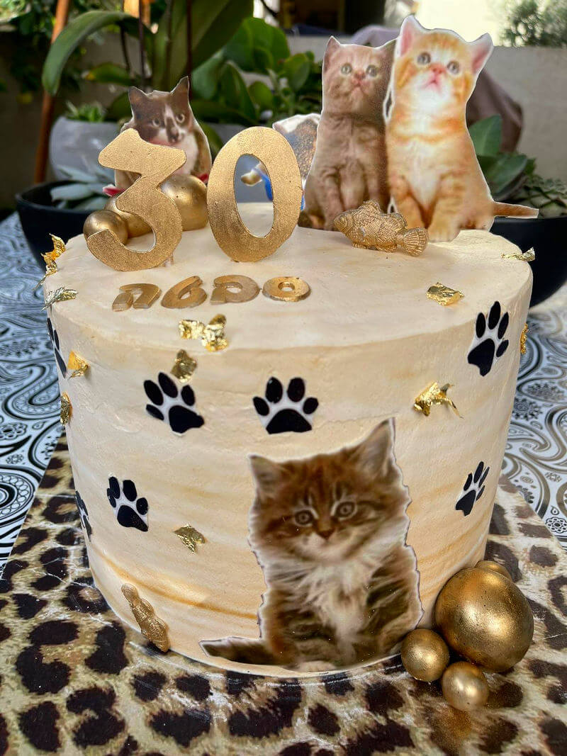 עוגה בעיצוב חתולים