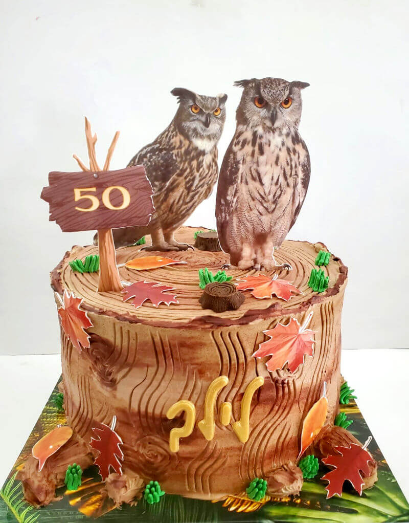עוגה מעוצבת ינשופים לגיל 50