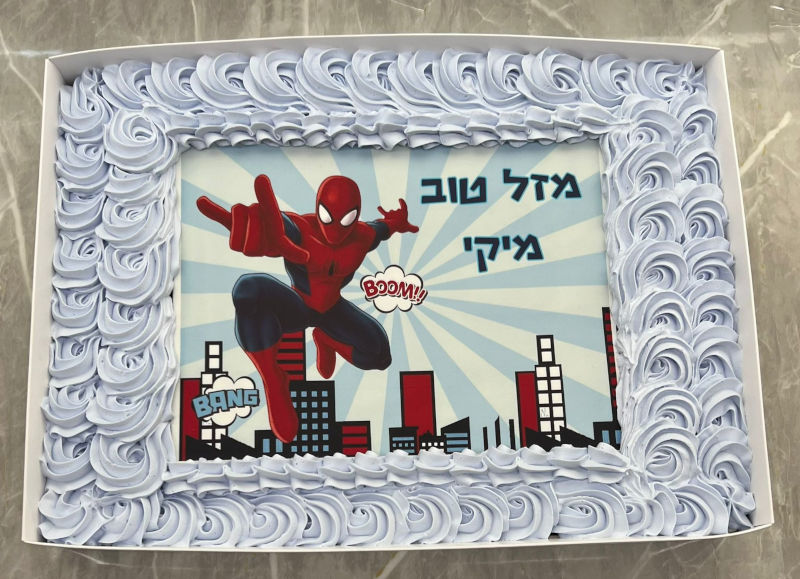 עוגת גן ספיידרמן